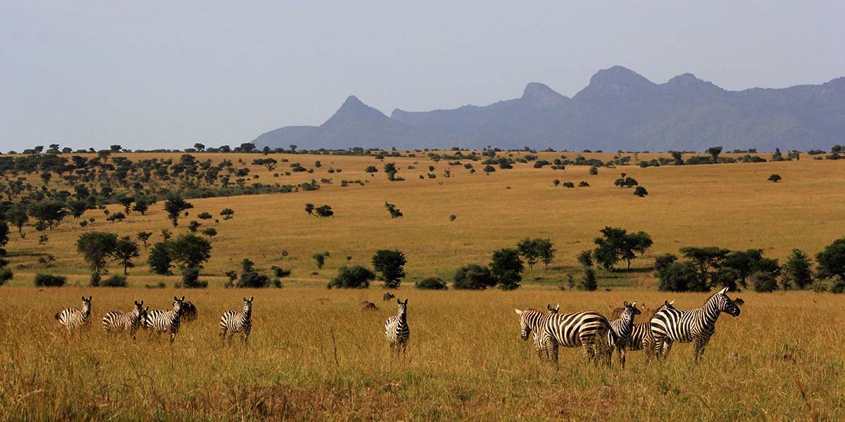 Lake-Mburo-National-Park