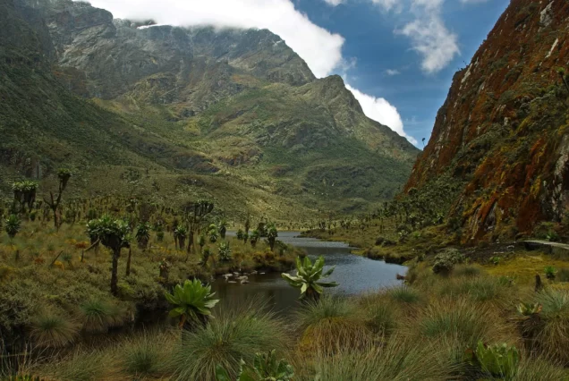 Rwenzori Mountain Lower Ranges Day Hike