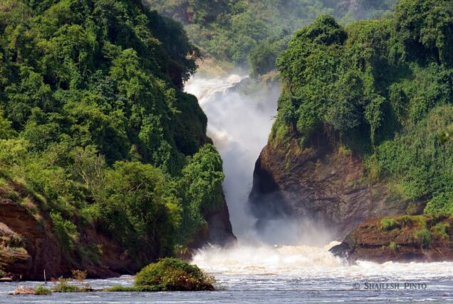 3 Days Murchison Falls Safari